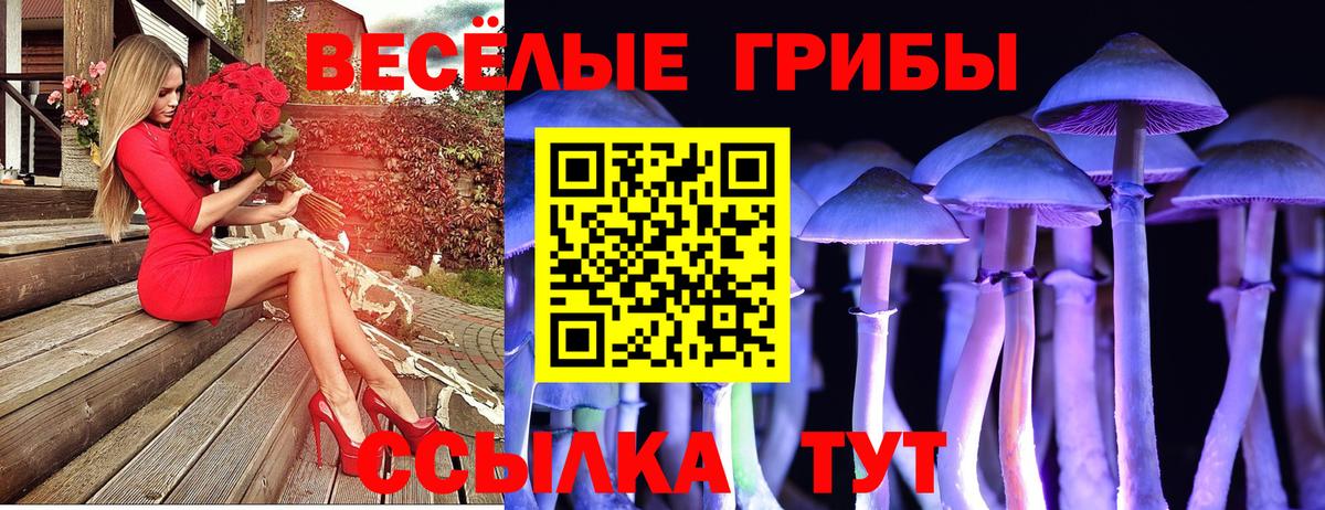 Нижний Тагил  Псилоцибиновые грибы Psilocybine cubensis  Вход с VPN  Галлюциногенные грибы Cubensis 